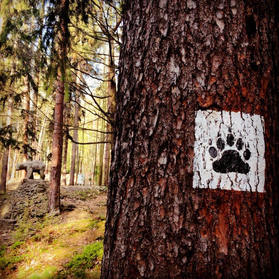 Villa Filmowiec Polanica-Zdrój Eksteriør bilde